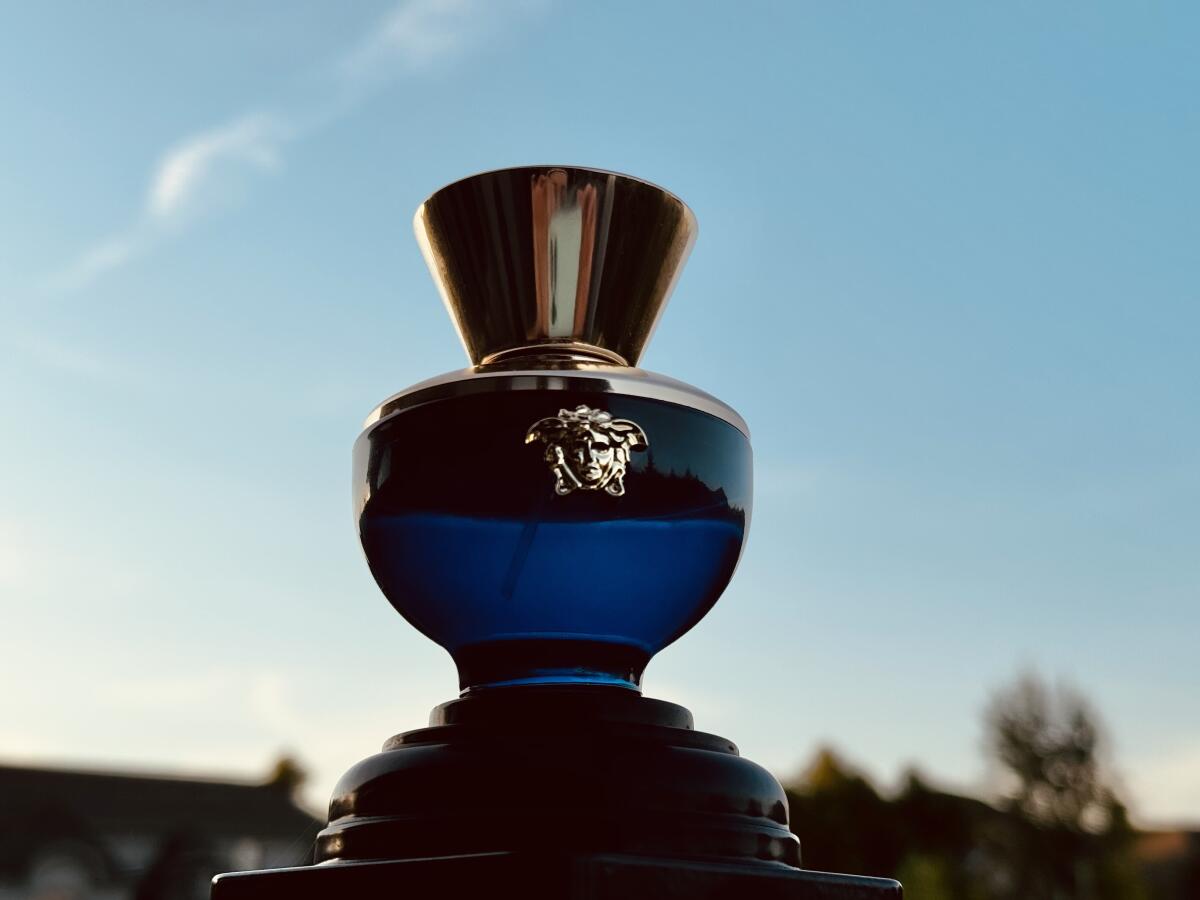 Versace Pour Femme Dylan Blue 100 Ml for women