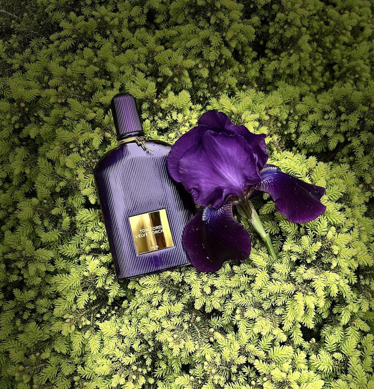 Velvet Orchid Tom Ford 100Ml for women