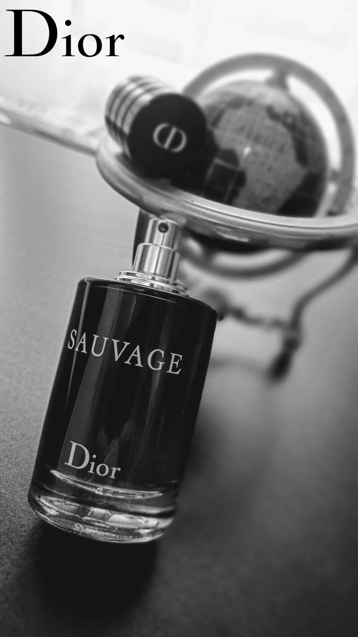Sauvage Dior 100 Ml for men
