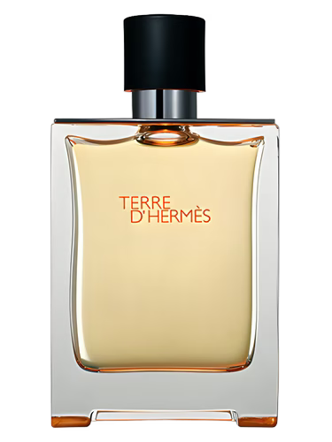 Terre d'Hermès Hermès 100Ml for men