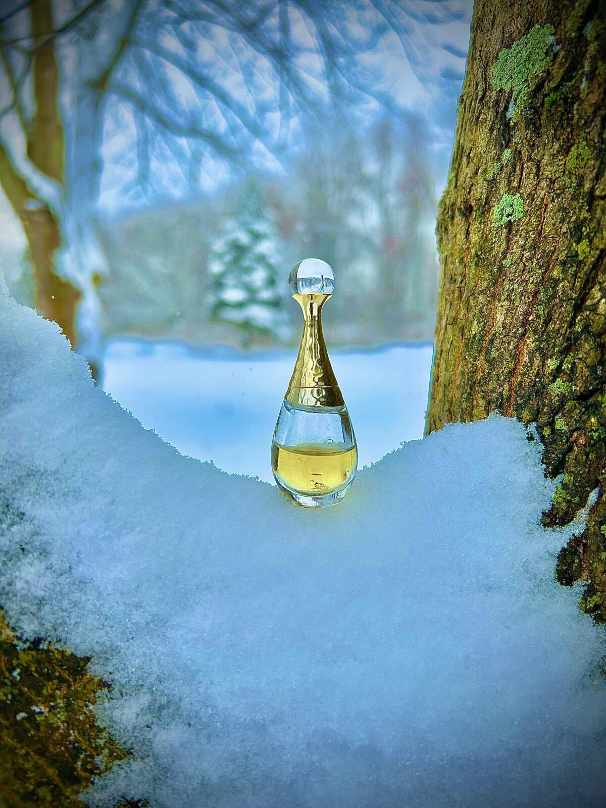 J'adore Dior 100Ml for women